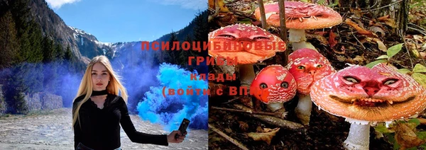 кокс Баксан