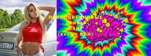 кокс Баксан