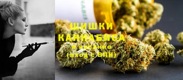бошки Тында