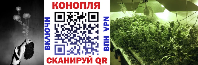 Марихуана LSD WEED  что такое   Николаевск 